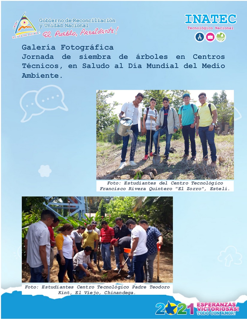 AMBIENTE